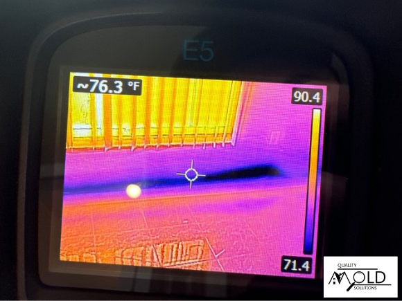 professional mold testing meter