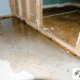 address water damage promptly to prevent mold growth in your home