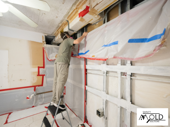 mold containment during mold remediation process