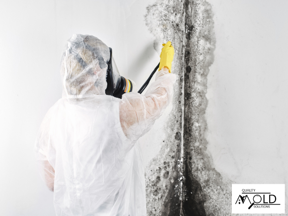 inspect for mold after mold remediation