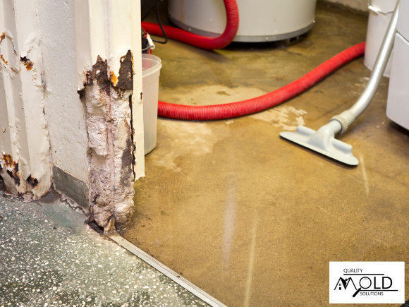 water damage mold growth limited by quick water removal
