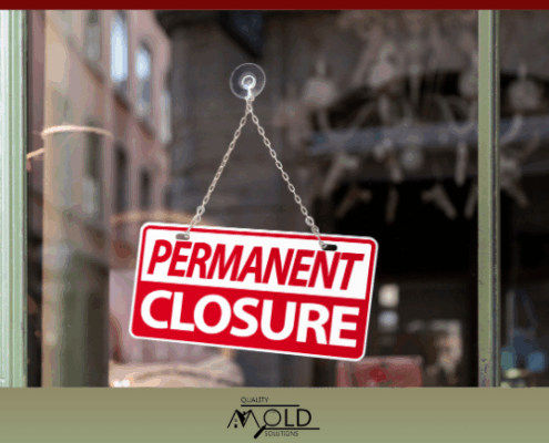 commercial mold testing can save a business closure