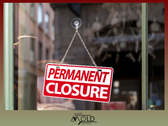 commercial mold testing can save a business closure