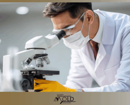 professional mold testing