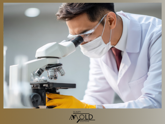 professional mold testing