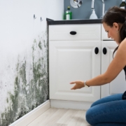How Long Does It Take For Mold To Grow In Your Home After Water Damage?