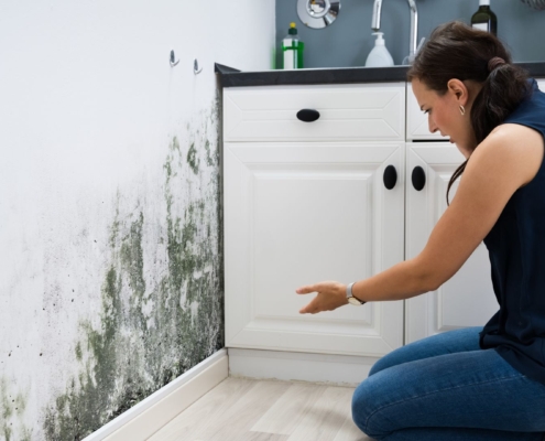 How Long Does It Take For Mold To Grow In Your Home After Water Damage?