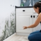 How Long Does It Take For Mold To Grow In Your Home After Water Damage?