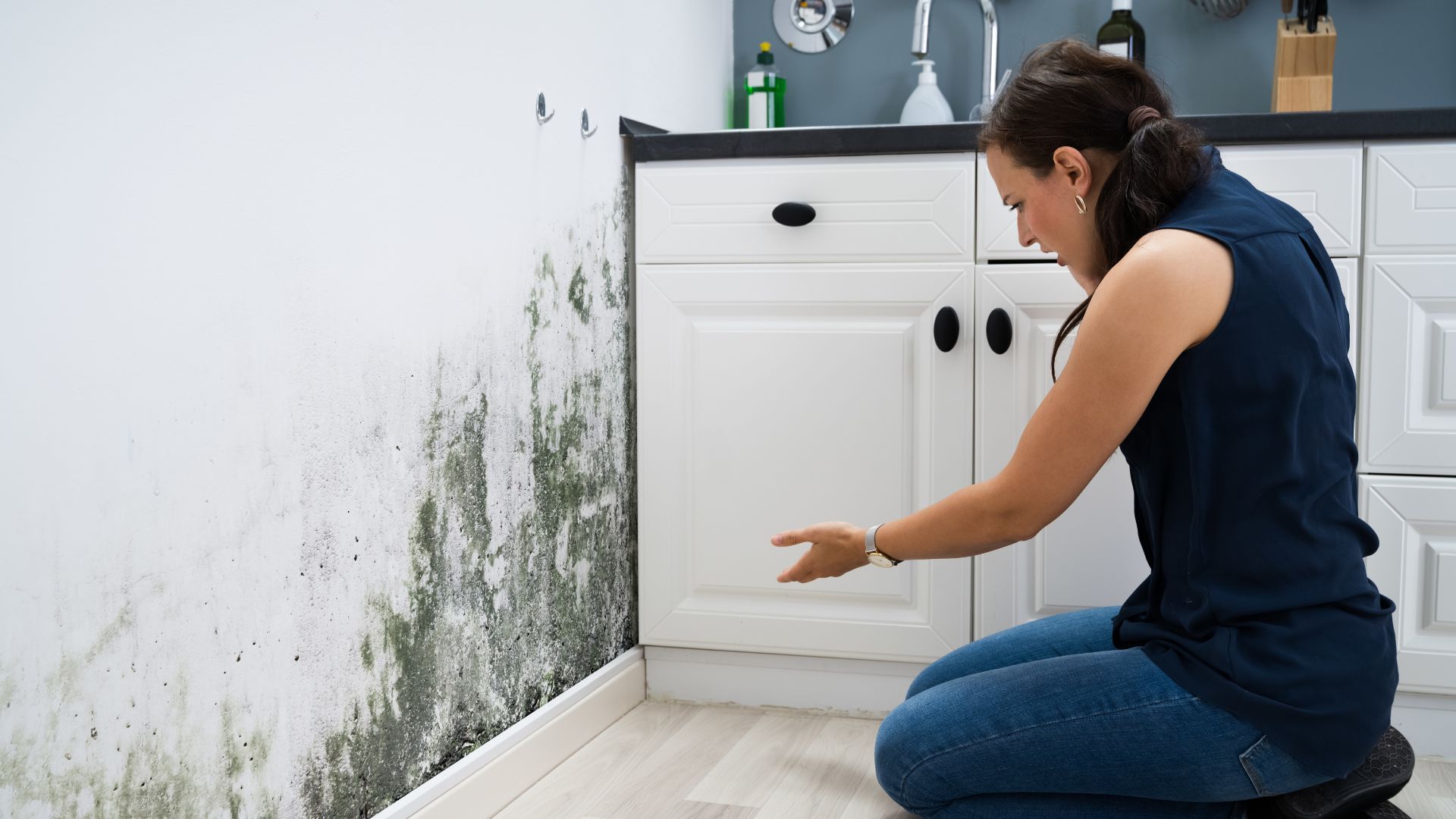 How Long Does It Take For Mold To Grow In Your Home After Water Damage?