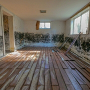 Mold Vs Fungus: What's The Real Difference And Why It Matters