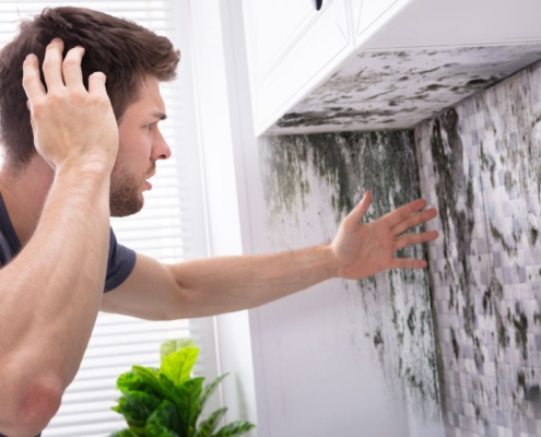 What Is Black Mold and Why Is It Dangerous for Your Home?