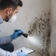 Black Mold Health Effects: What Symptoms to Watch For and How to Stay Safe