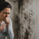 The Hidden Link Between Mold and Respiratory Problems in Your Home